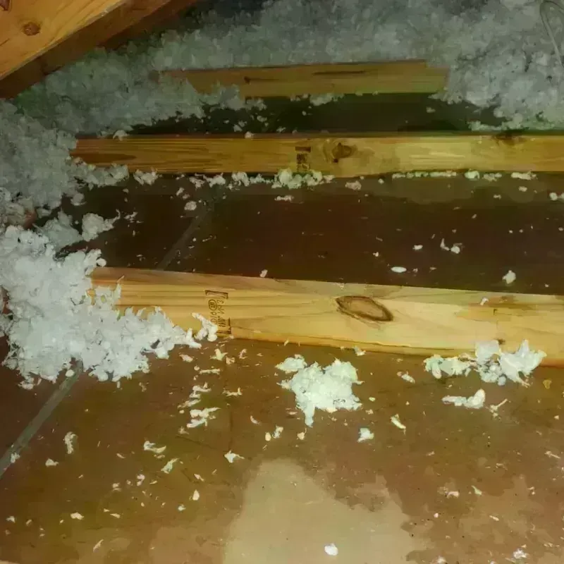 Attic Water Damage in Coal Fork, WV